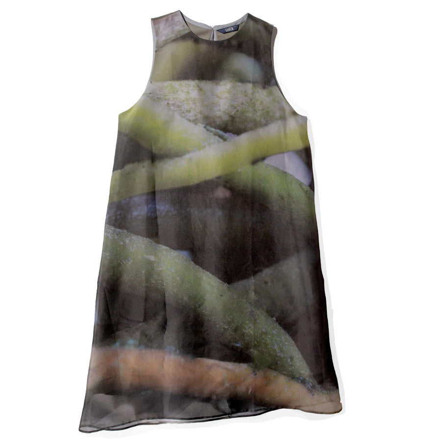 Kaarem Moon Silk Organza Dress in Roots