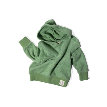 Mollusk Kids Softest Hoodie in Pistachio