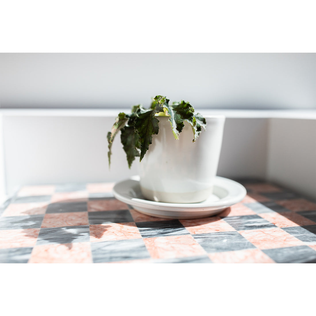 WRF Small Planter in White